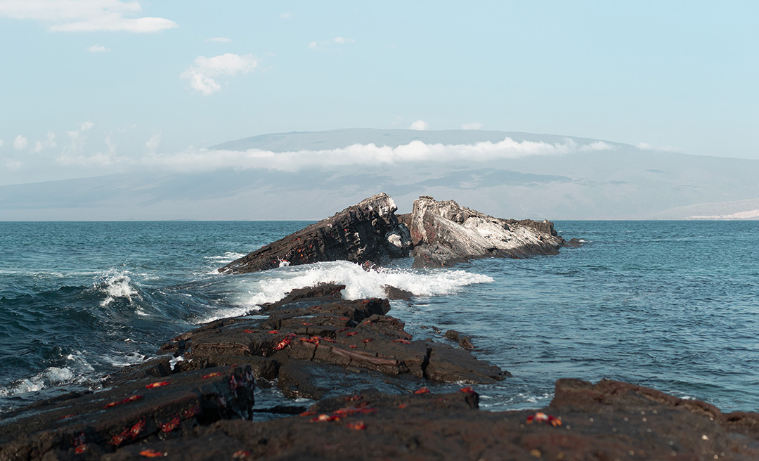 galapagos